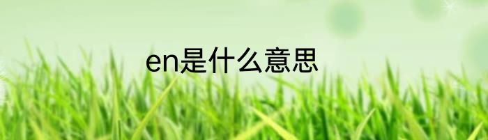 en是什么意思