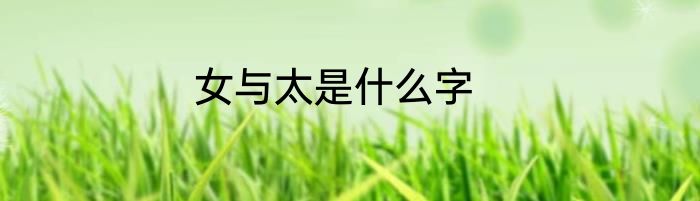 女与太是什么字