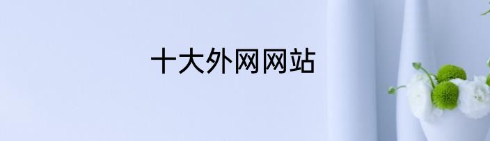 十大外网网站