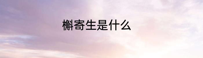 槲寄生是什么