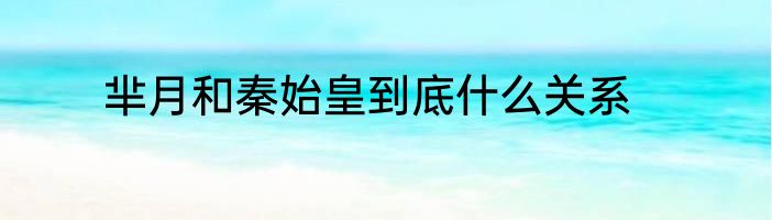 芈月和秦始皇到底什么关系