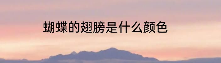 蝴蝶的翅膀是什么颜色