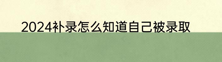 2024补录怎么知道自己被录取