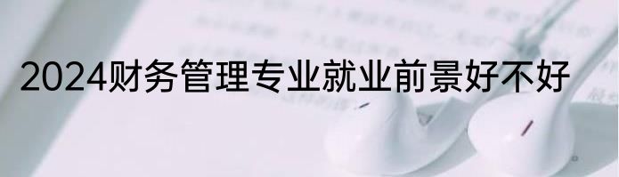 2024财务管理专业就业前景好不好