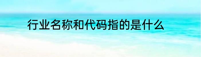 行业名称和代码指的是什么