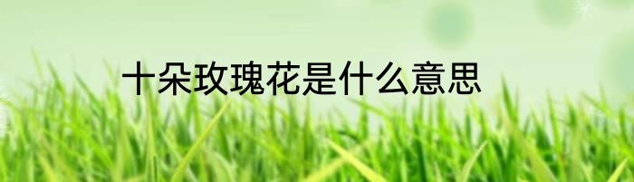 十朵玫瑰花是什么意思