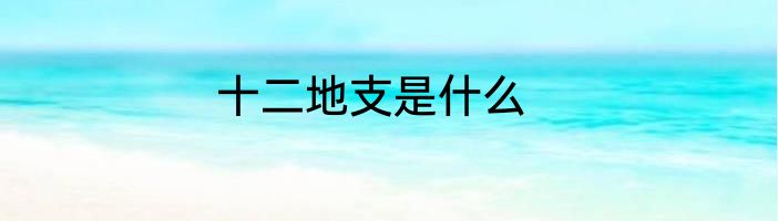 十二地支是什么