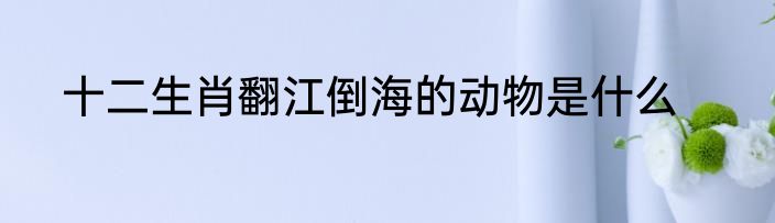 十二生肖翻江倒海的动物是什么
