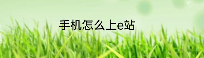 手机怎么上e站