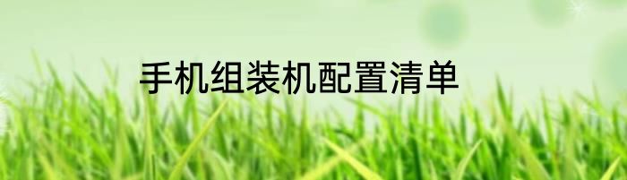手机组装机配置清单
