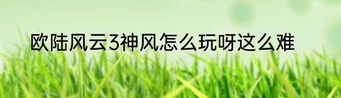 欧陆风云3神风怎么玩呀这么难