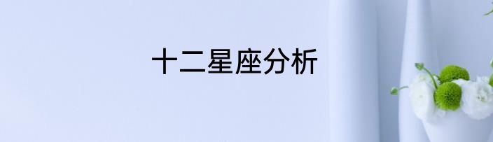 十二星座分析