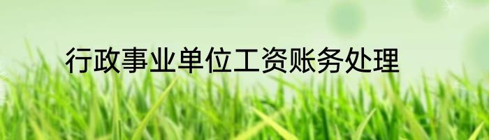行政事业单位工资账务处理