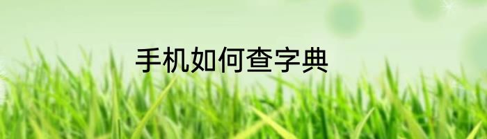 手机如何查字典