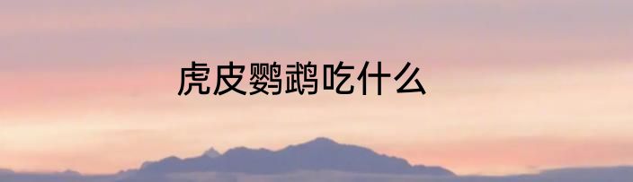 虎皮鹦鹉吃什么