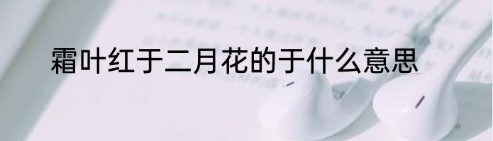 霜叶红于二月花的于什么意思