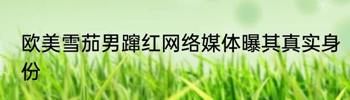 欧美雪茄男蹿红网络媒体曝其真实身份