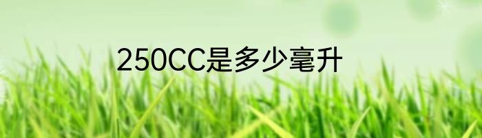 250CC是多少毫升