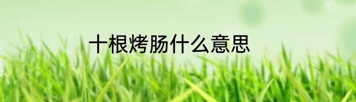 十根烤肠什么意思