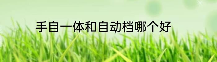 手自一体和自动档哪个好