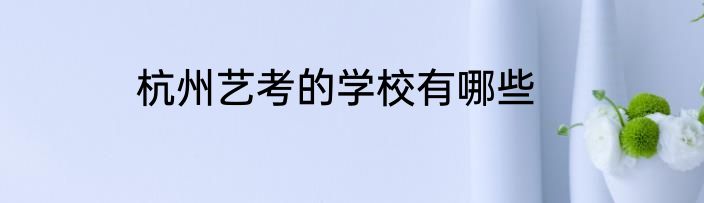 杭州艺考的学校有哪些