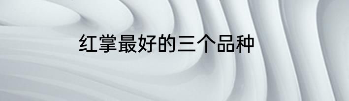 红掌最好的三个品种