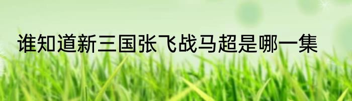 谁知道新三国张飞战马超是哪一集