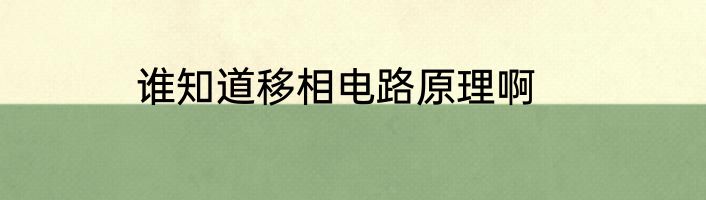 谁知道移相电路原理啊