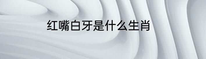 红嘴白牙是什么生肖