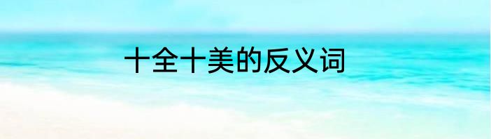 十全十美的反义词