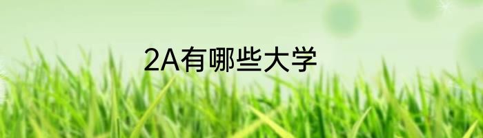 2A有哪些大学