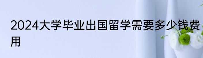 2024大学毕业出国留学需要多少钱费用