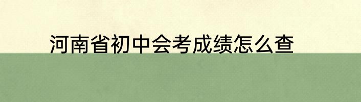河南省初中会考成绩怎么查