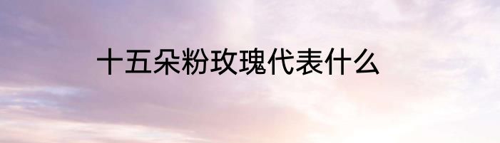 十五朵粉玫瑰代表什么
