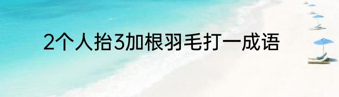 2个人抬3加根羽毛打一成语