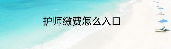 护师缴费怎么入口