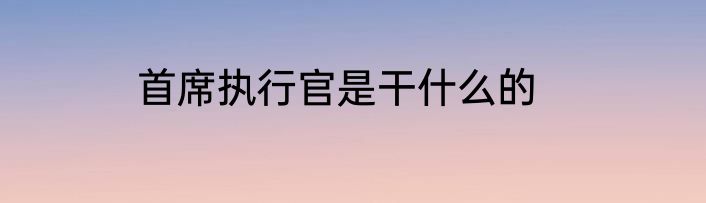 首席执行官是干什么的