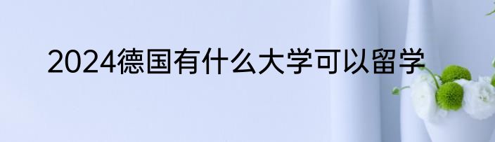 2024德国有什么大学可以留学