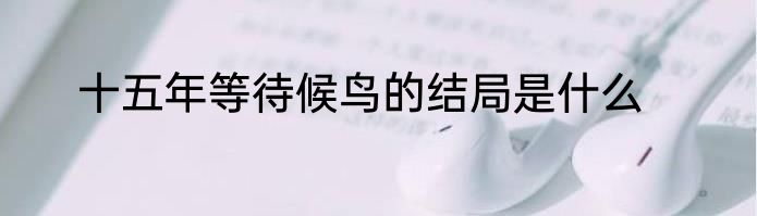 十五年等待候鸟的结局是什么