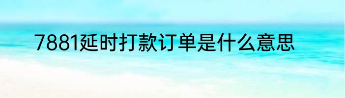 7881延时打款订单是什么意思