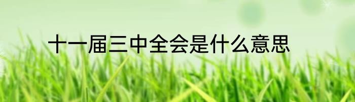 十一届三中全会是什么意思