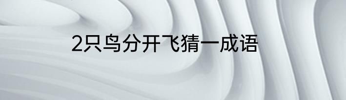 2只鸟分开飞猜一成语