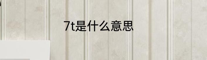 7t是什么意思