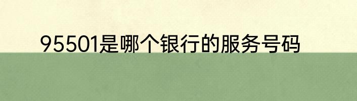 95501是哪个银行的服务号码