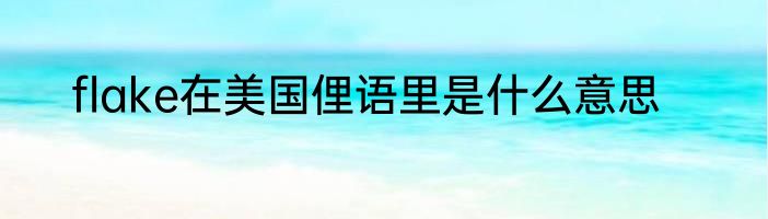 flake在美国俚语里是什么意思