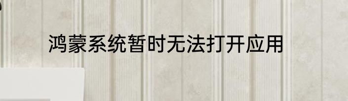 鸿蒙系统暂时无法打开应用