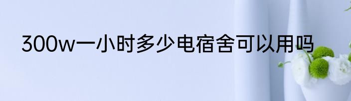 300w一小时多少电宿舍可以用吗