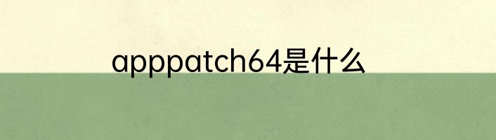 apppatch64是什么