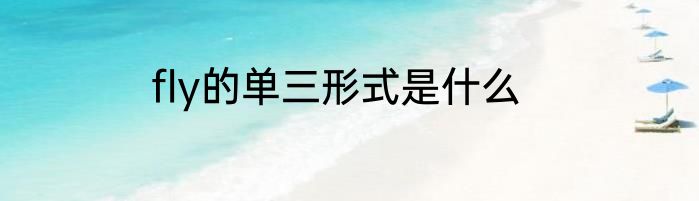 fly的单三形式是什么