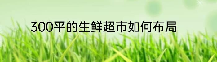 300平的生鲜超市如何布局